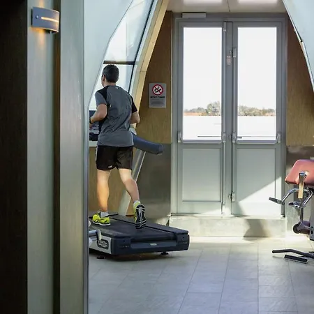 Antony Palace - Venice Airport 4* Marcon