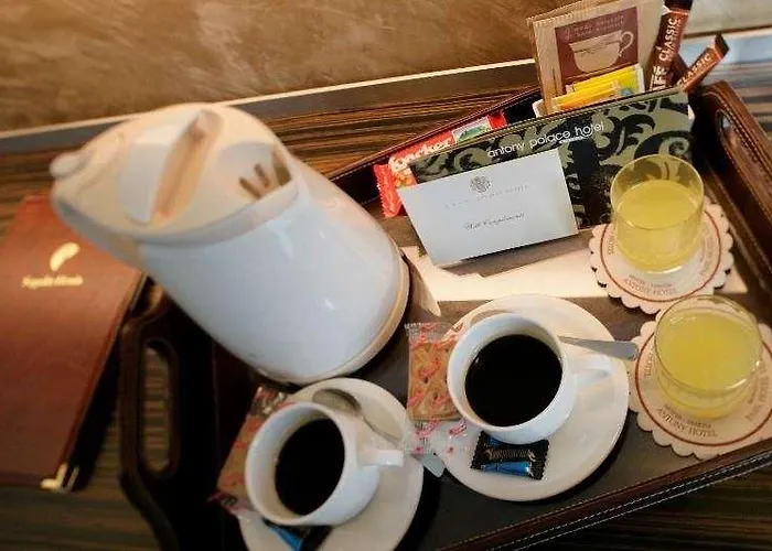 Antony Palace - Venice Airport فندق 4*